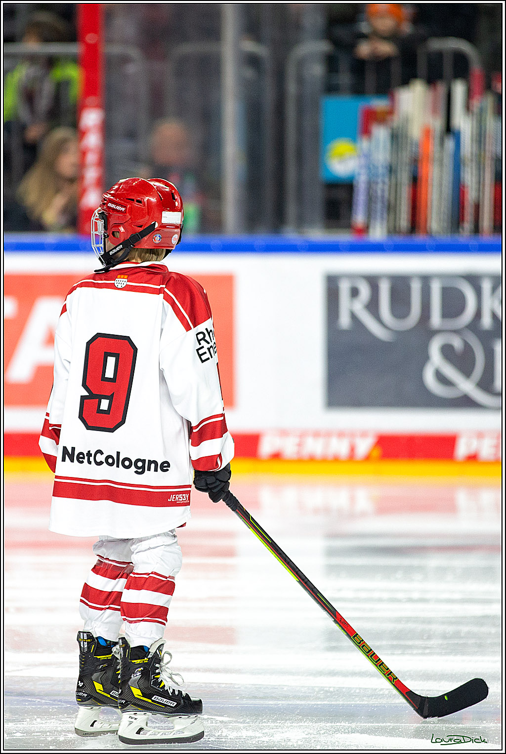 PENNY DEL; Koelner Haie- Nuernberger Ice Tigers; Koeln, 29.01.2023